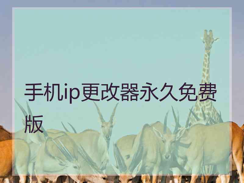 手机ip更改器永久免费版