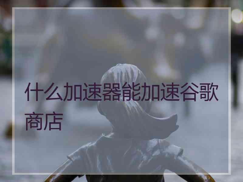 什么加速器能加速谷歌商店