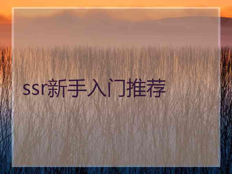ssr新手入门推荐