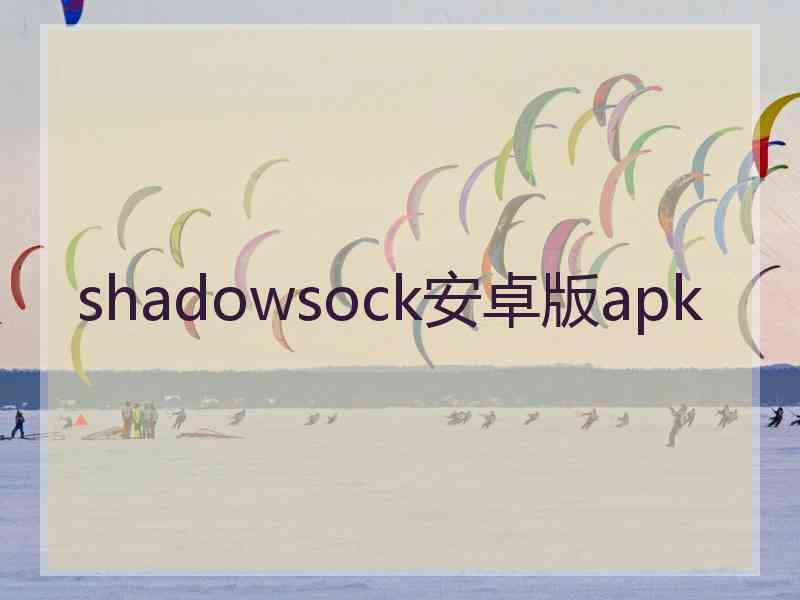 shadowsock安卓版apk