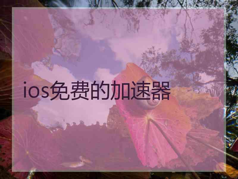 ios免费的加速器