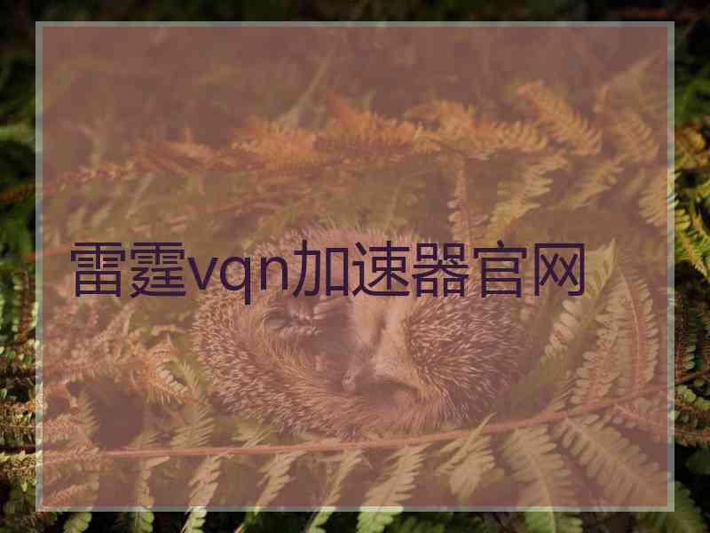 雷霆vqn加速器官网