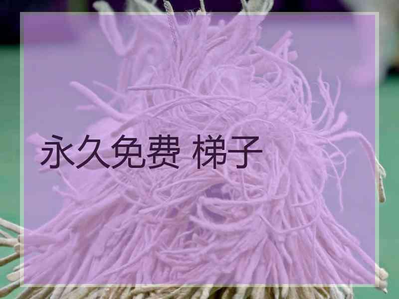 永久免费 梯子