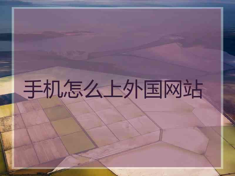 手机怎么上外国网站