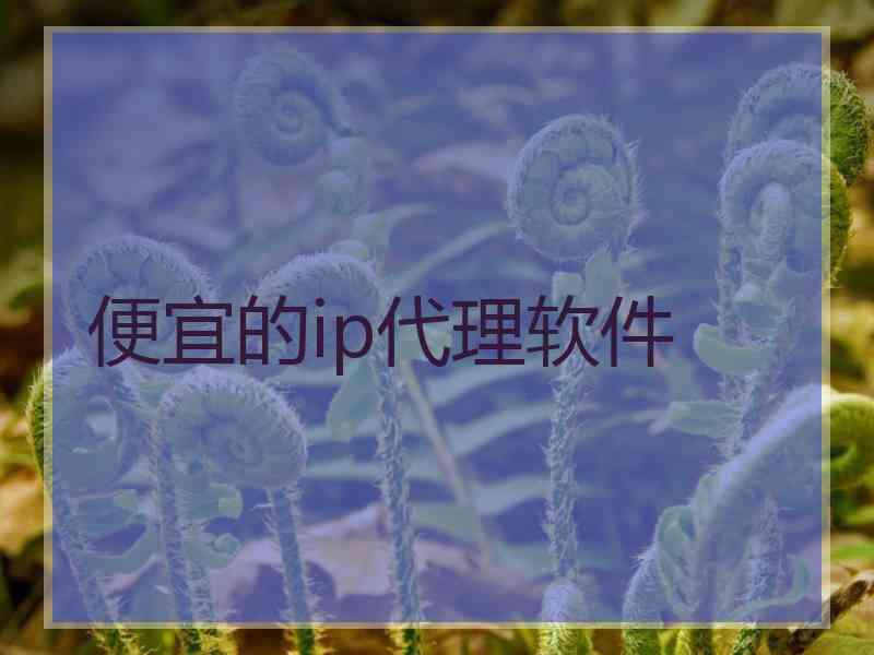 便宜的ip代理软件