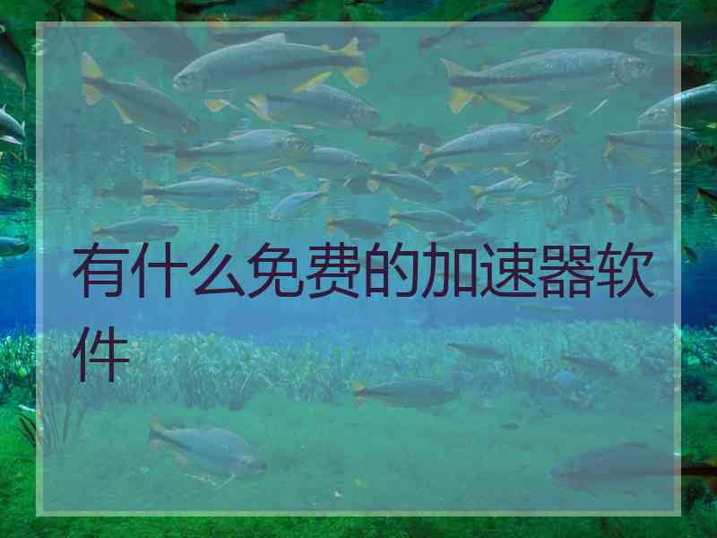 有什么免费的加速器软件