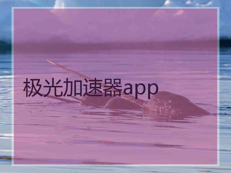 极光加速器app