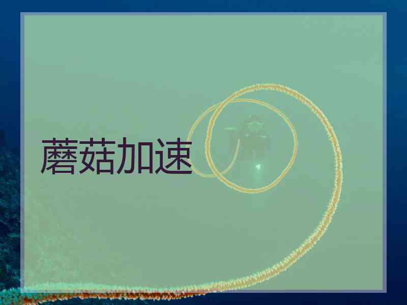 蘑菇加速