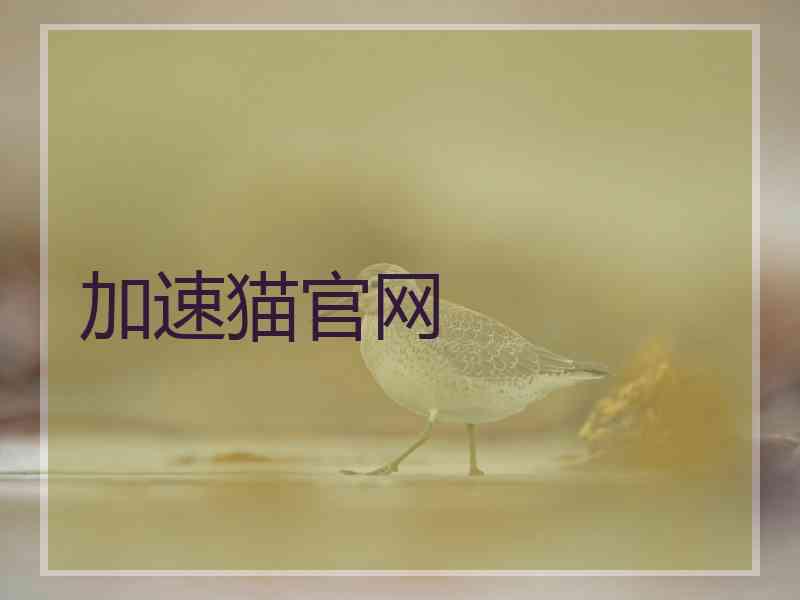 加速猫官网