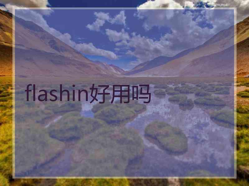 flashin好用吗