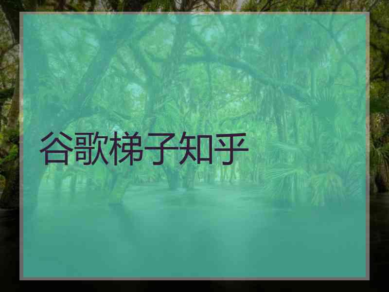 谷歌梯子知乎