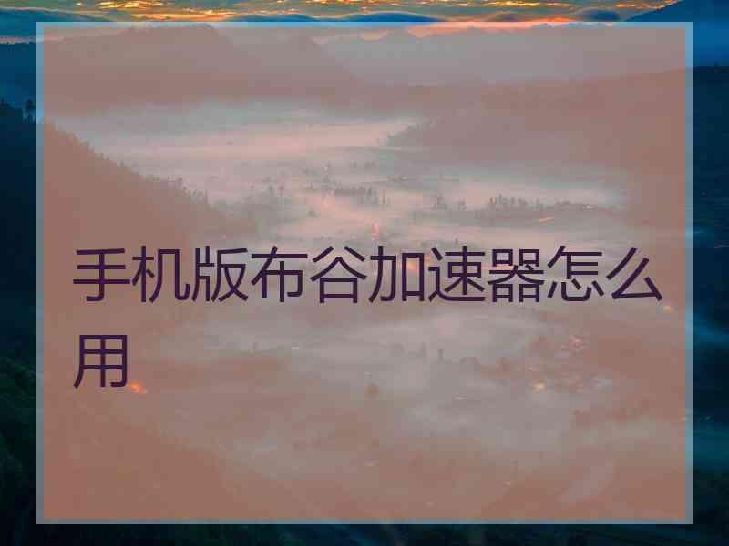 手机版布谷加速器怎么用