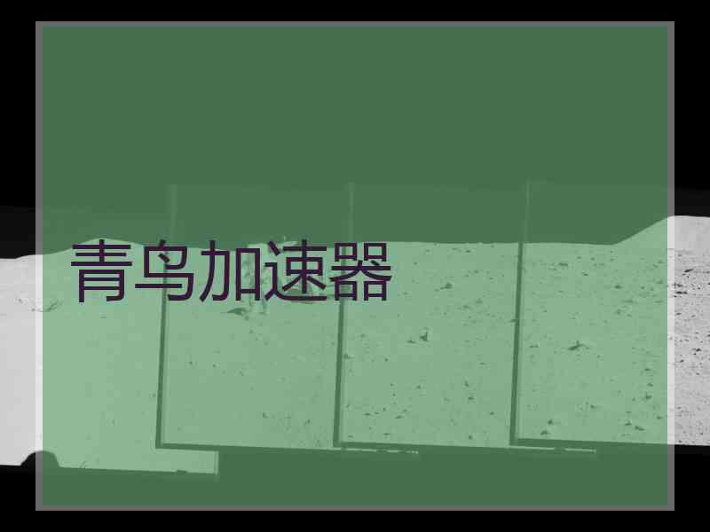 青鸟加速器