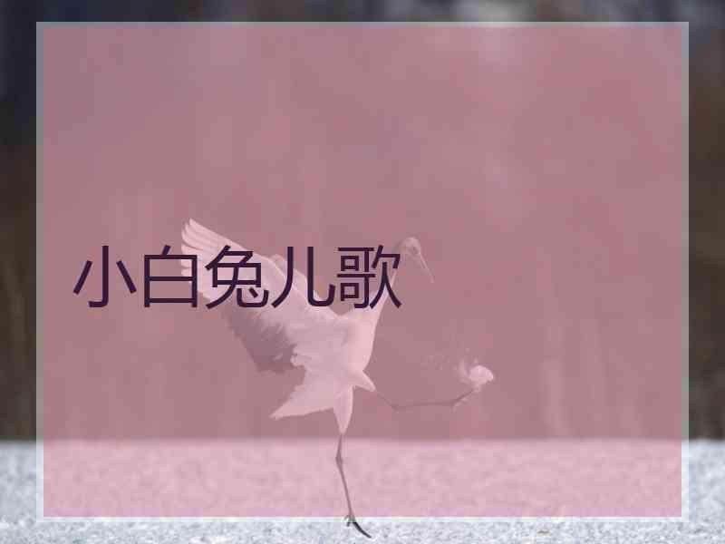 小白兔儿歌
