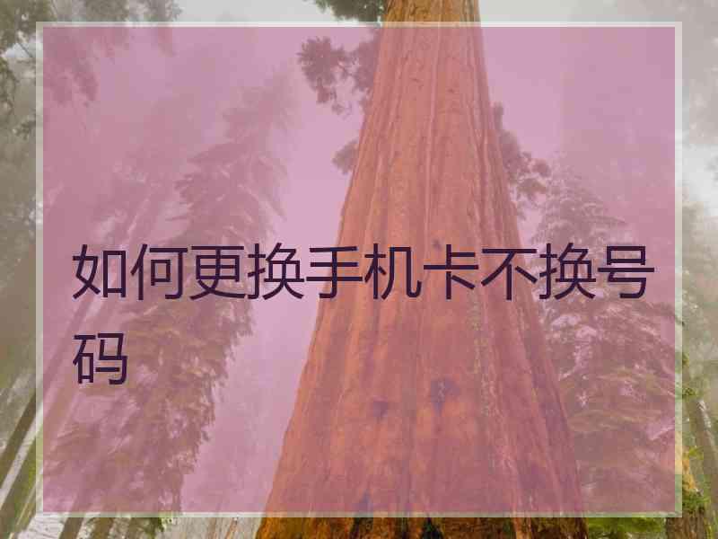 如何更换手机卡不换号码