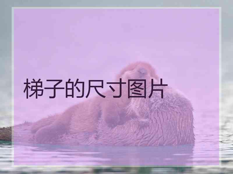 梯子的尺寸图片