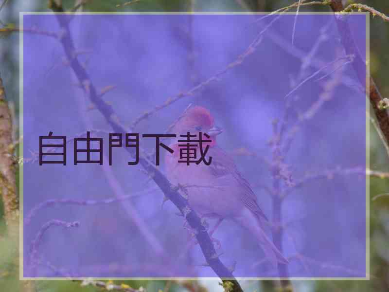 自由門下載