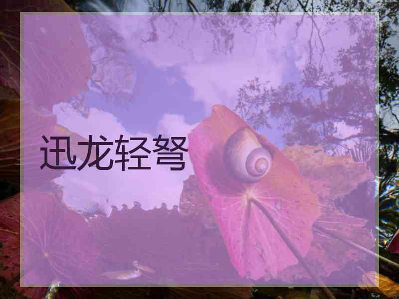 迅龙轻弩