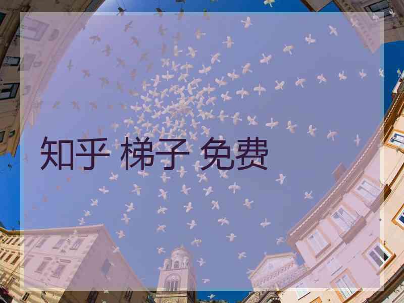 知乎 梯子 免费