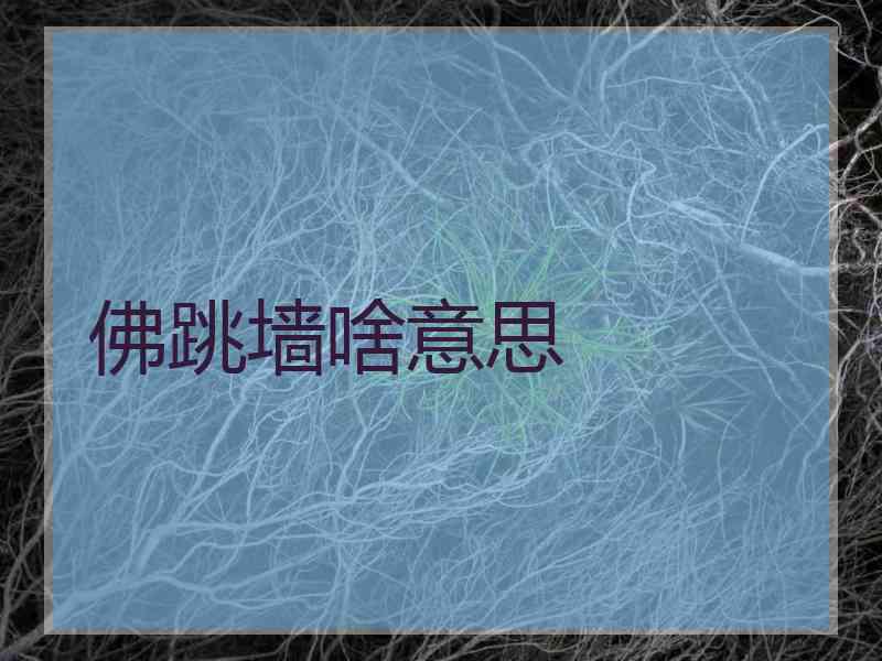 佛跳墙啥意思