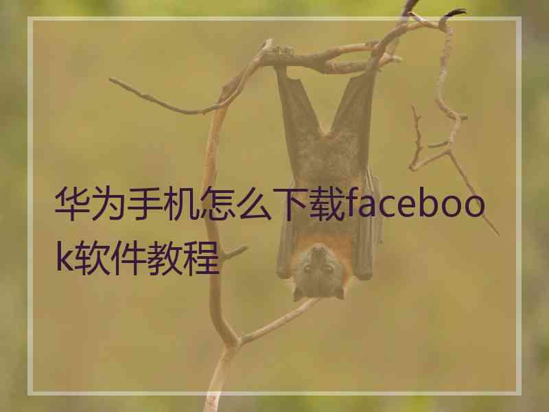 华为手机怎么下载facebook软件教程