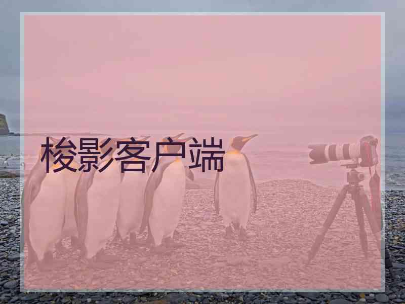 梭影客户端