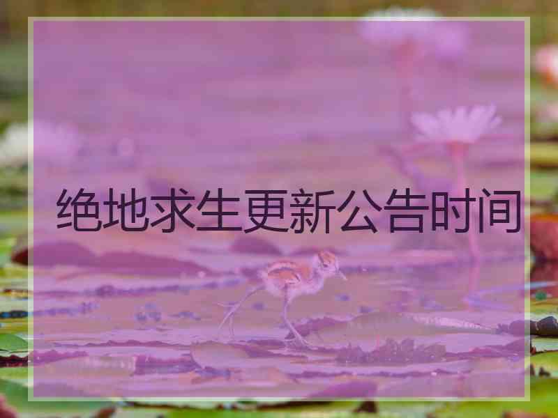 绝地求生更新公告时间