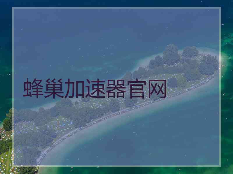 蜂巢加速器官网