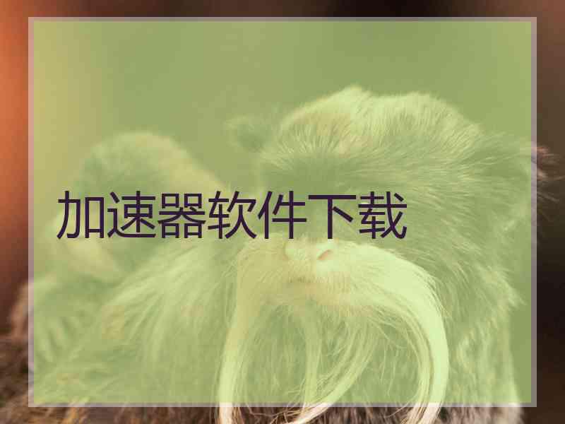 加速器软件下载