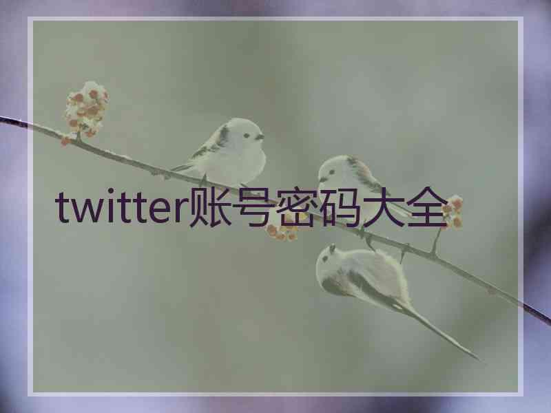 twitter账号密码大全