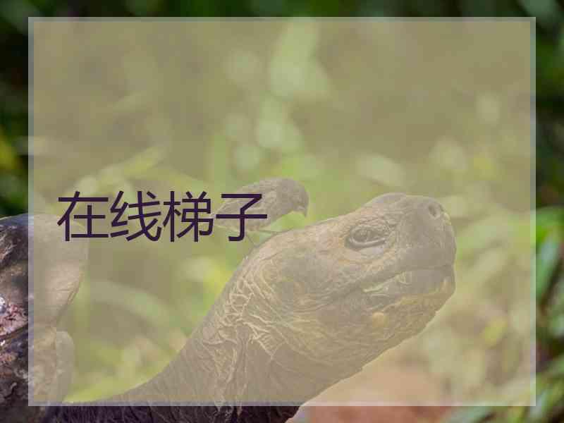 在线梯子