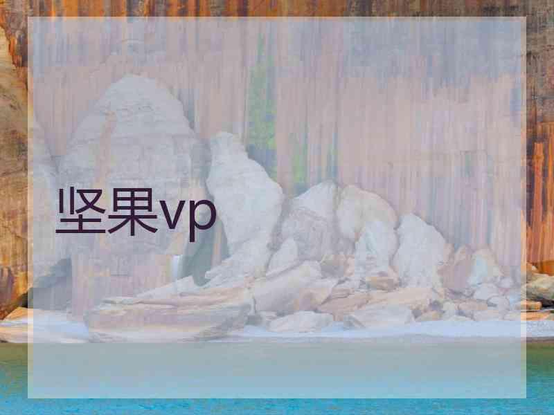 坚果vp
