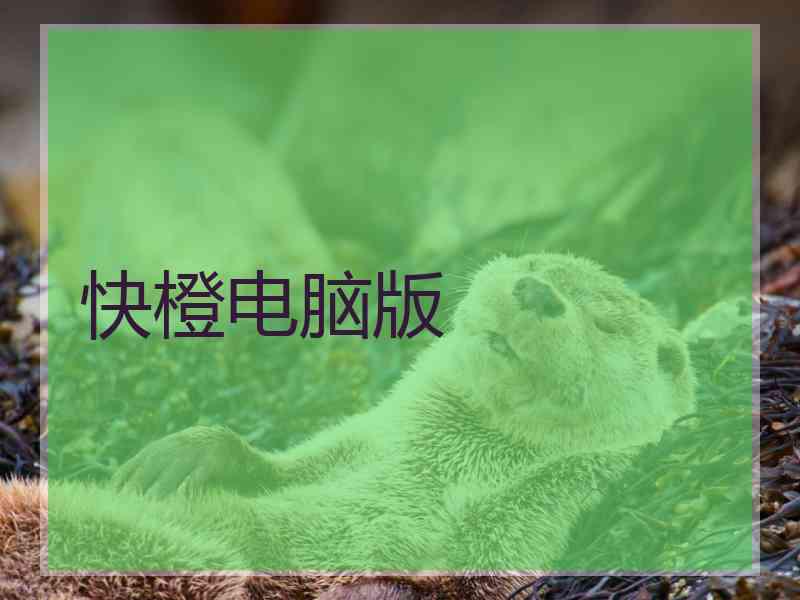 快橙电脑版