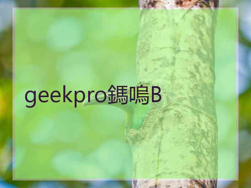 geekpro鎷嗚В