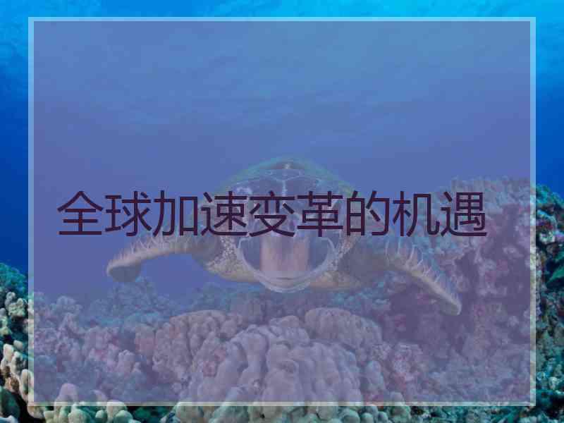 全球加速变革的机遇