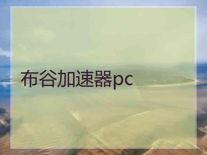 布谷加速器pc