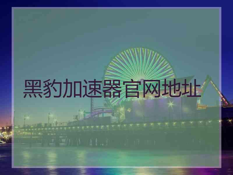 黑豹加速器官网地址