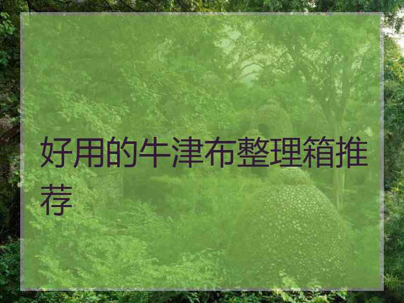 好用的牛津布整理箱推荐