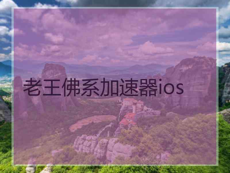 老王佛系加速器ios