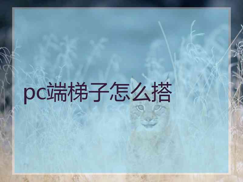 pc端梯子怎么搭