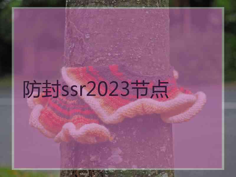 防封ssr2023节点