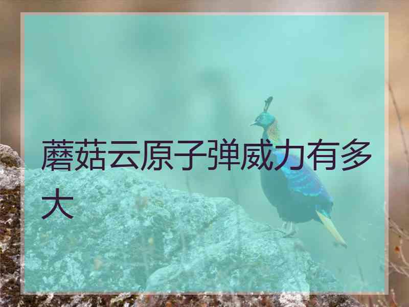 蘑菇云原子弹威力有多大