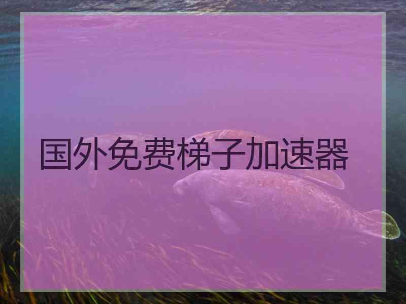 国外免费梯子加速器