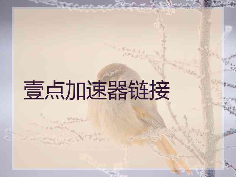 壹点加速器链接
