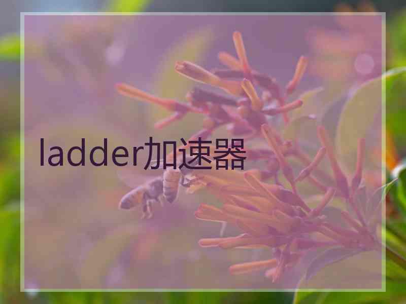ladder加速器