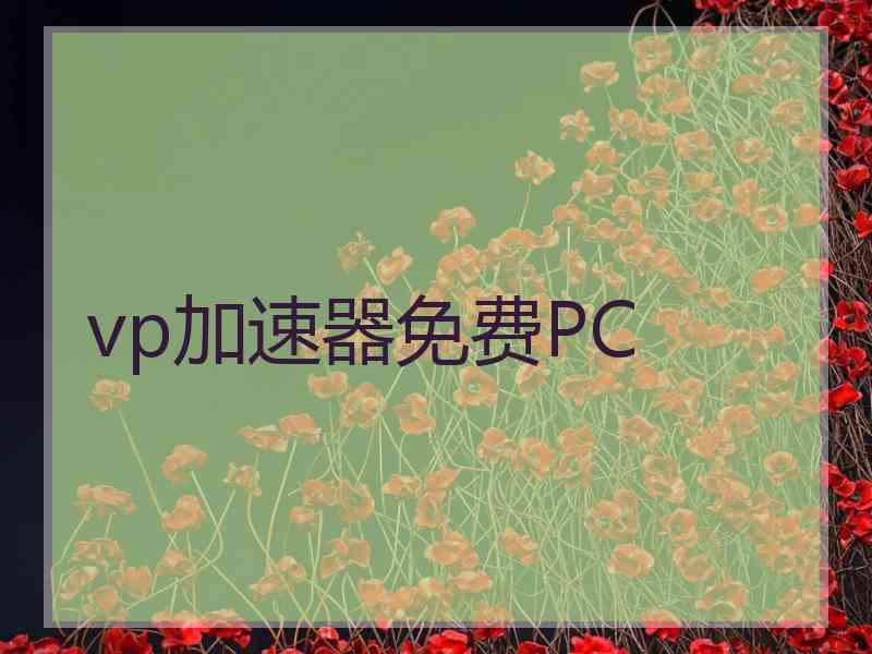 vp加速器免费PC