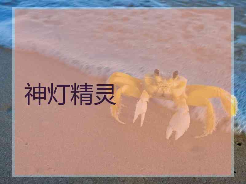 神灯精灵