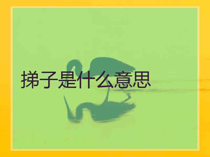 挮子是什么意思