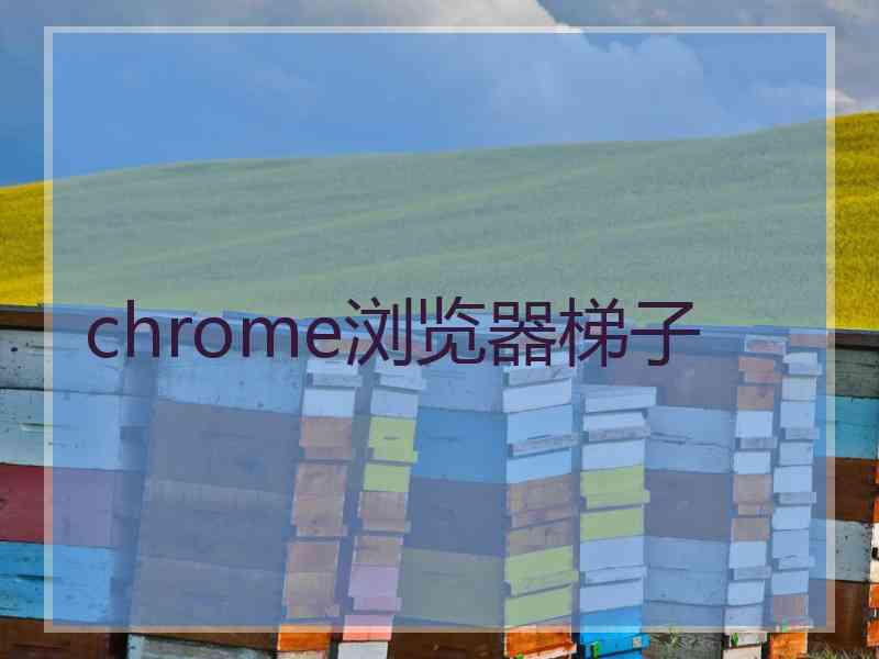 chrome浏览器梯子