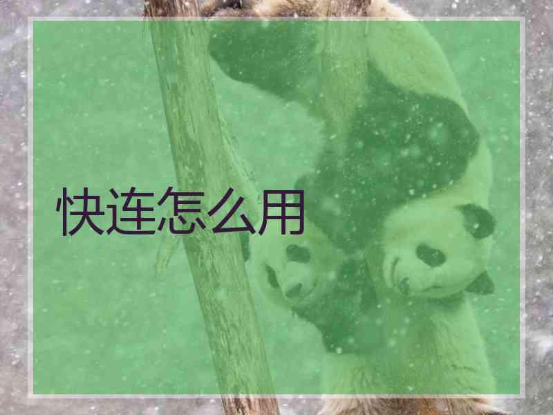 快连怎么用